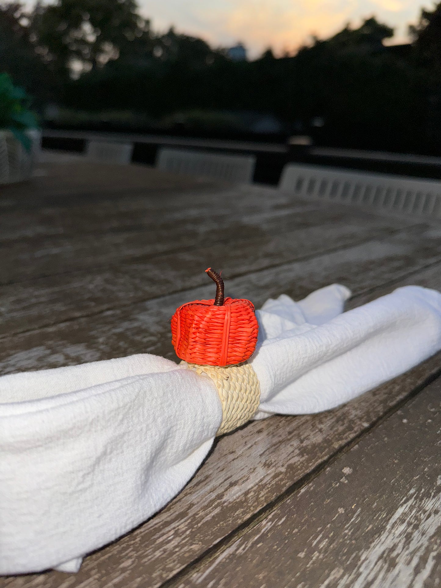 wicked material, pumpkin napkin rings, made in Colombia, fruit napkin ring, table decoration, home decoration, autumn decoration, table set decoration