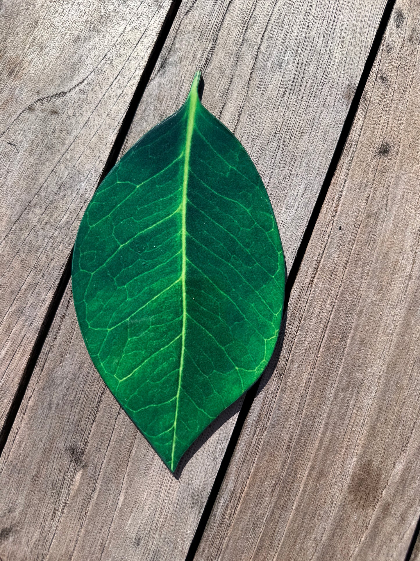 Green leaf coaster, hand painted coaster, home decor, table decor Montreal 
