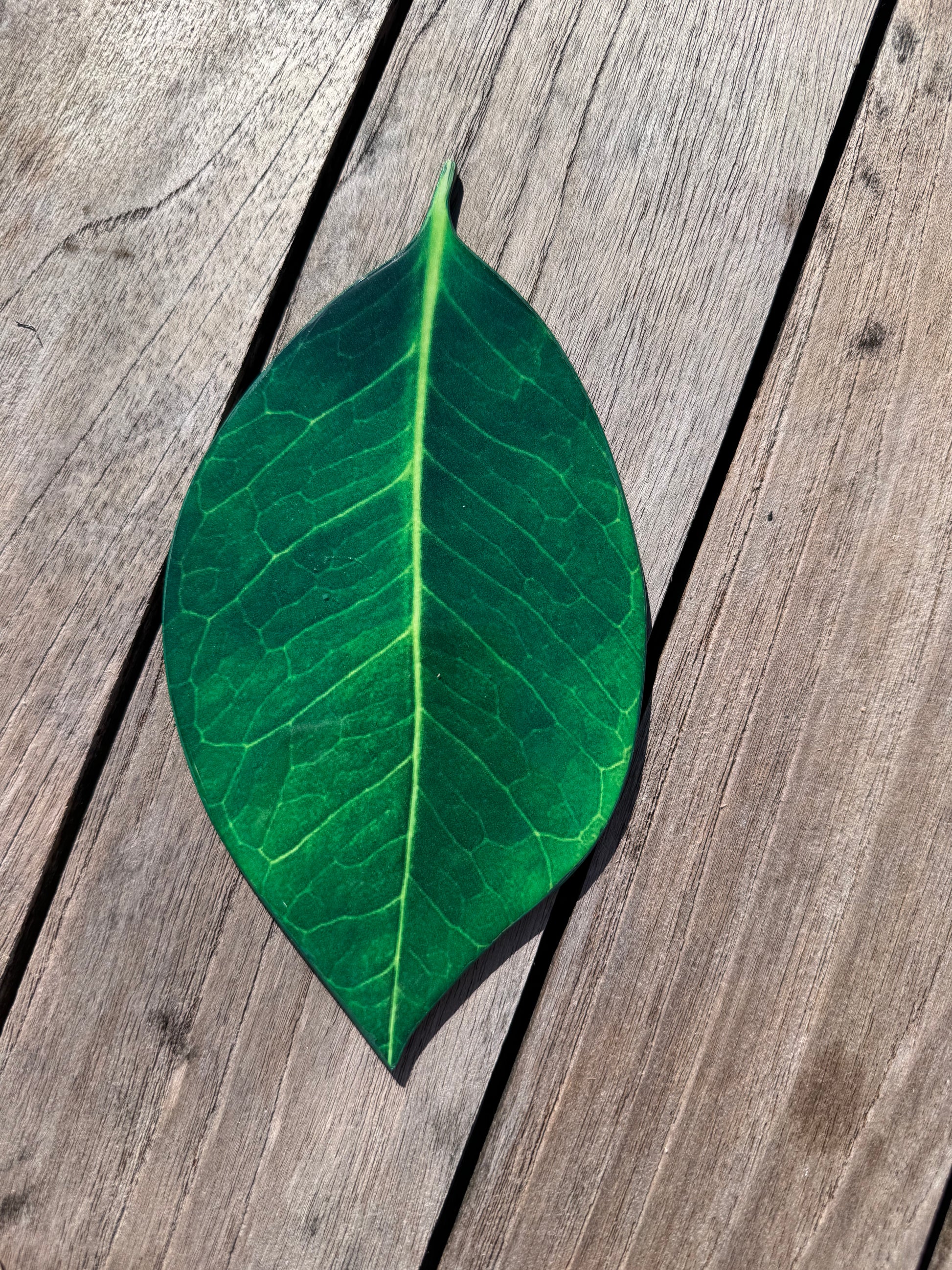 Green leaf coaster, hand painted coaster, home decor, table decor Montreal 