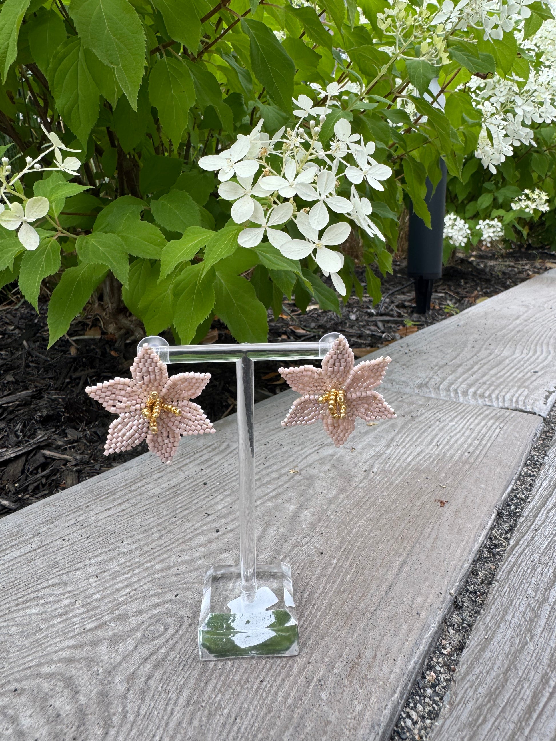 beige flower-shaped earrings on a clear stand with green foliage in the background