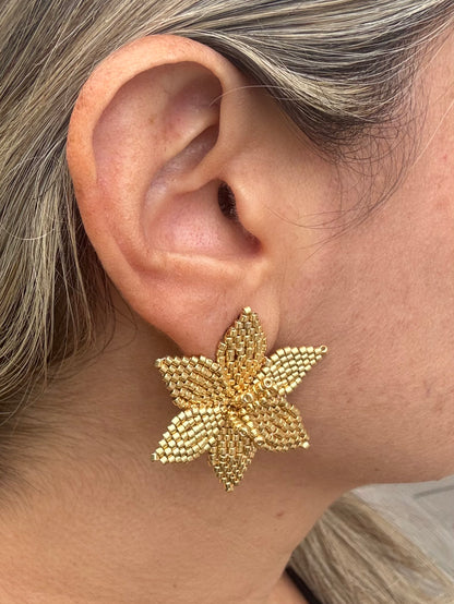 Close-up of a person wearing a gold star-shaped earring.