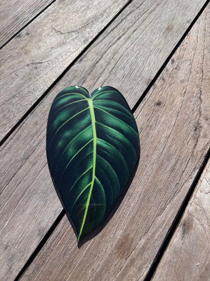 Green leaf coaster, hand painted coaster, home decor, table decor Montreal 