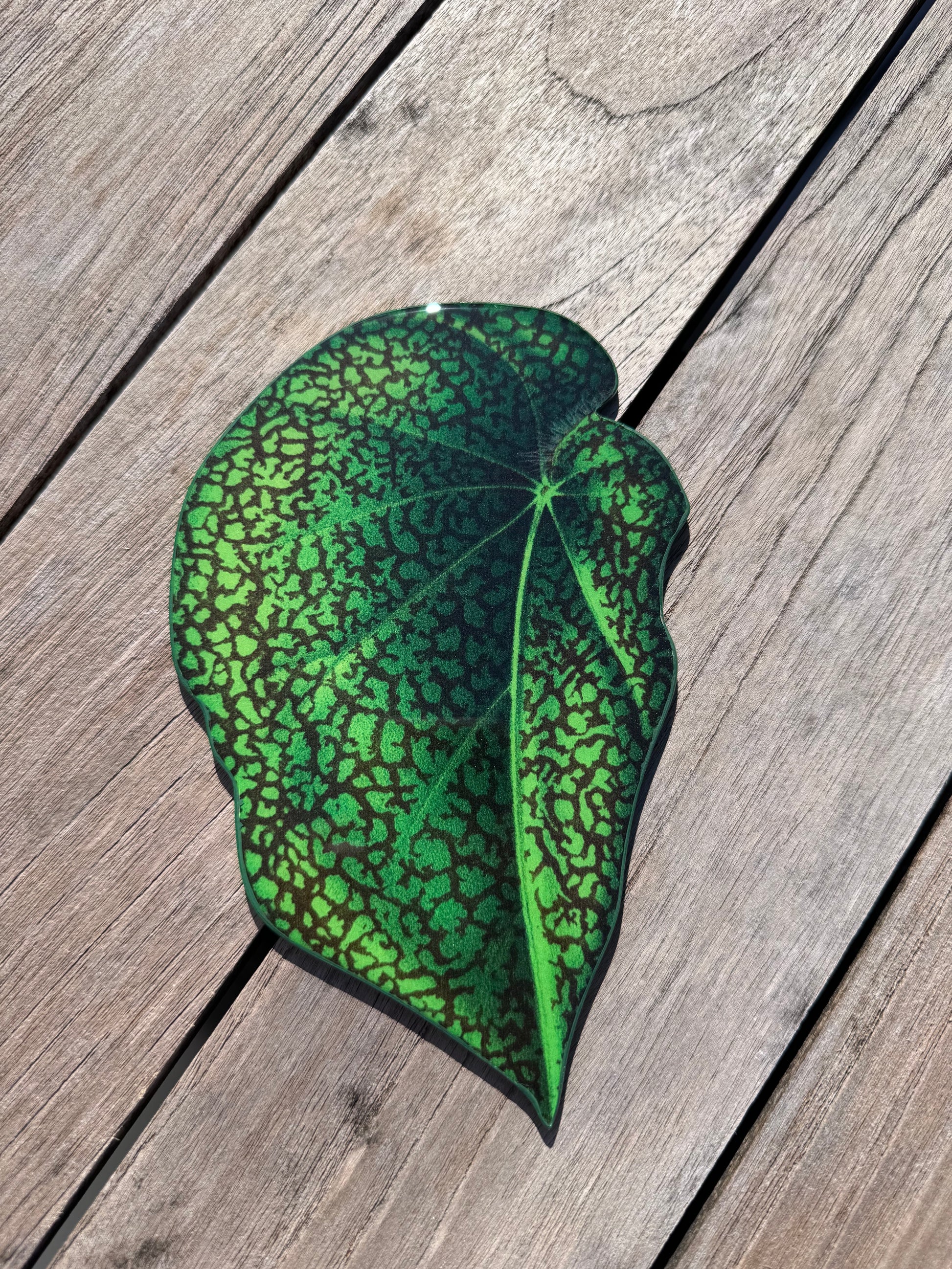 Green leaf coaster, hand painted coaster, home decor, table decor Montreal 