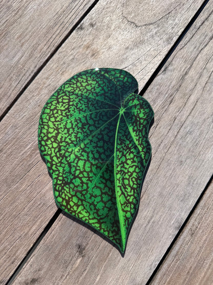 Green leaf coaster, hand painted coaster, home decor, table decor Montreal 